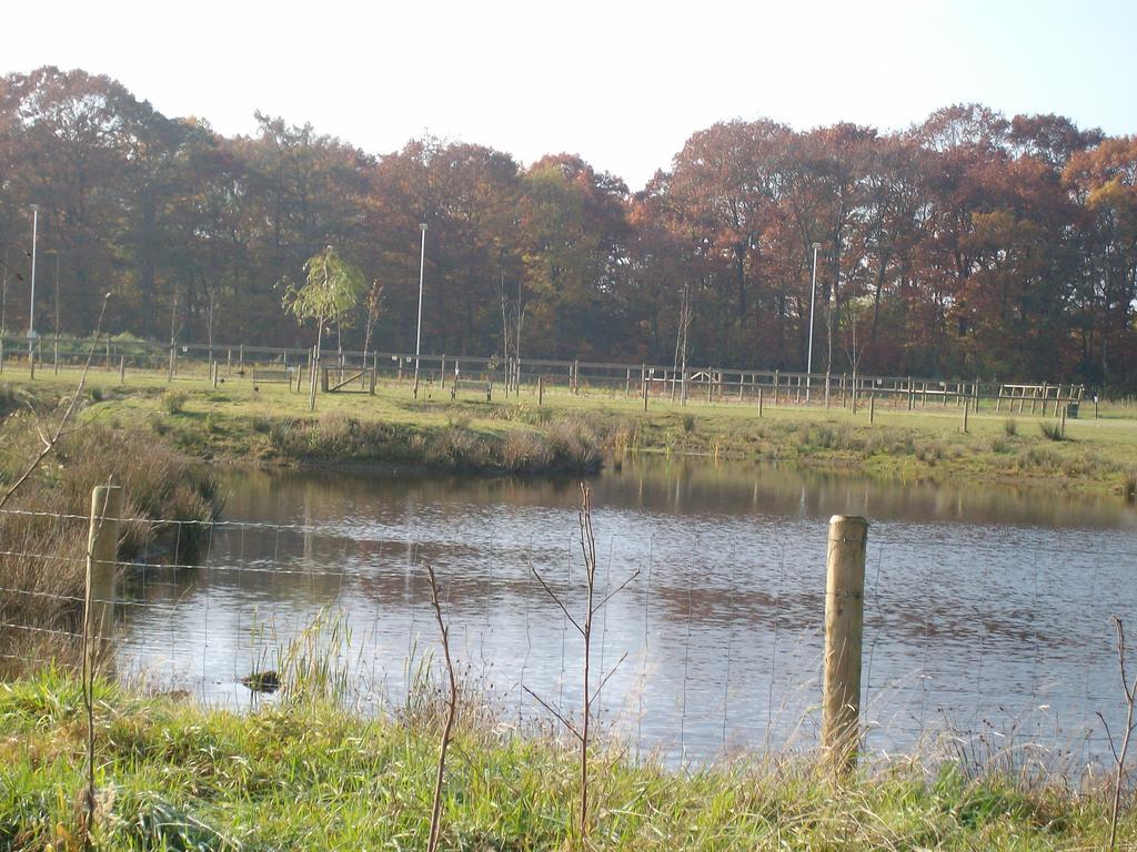 Horsetellerie Rheezerveen Hardenberg Eksteriør billede