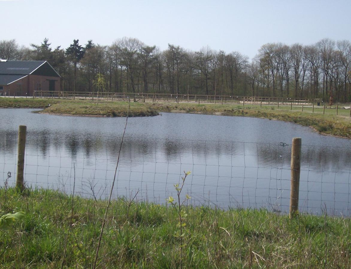 Horsetellerie Rheezerveen Hardenberg Eksteriør billede